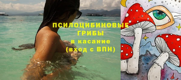 спиды Арсеньев