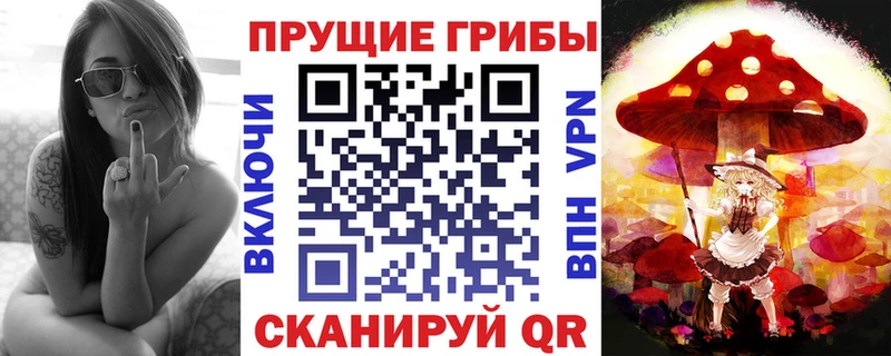 Галлюциногенные грибы Cubensis ОМГ ОМГ онион Покачи